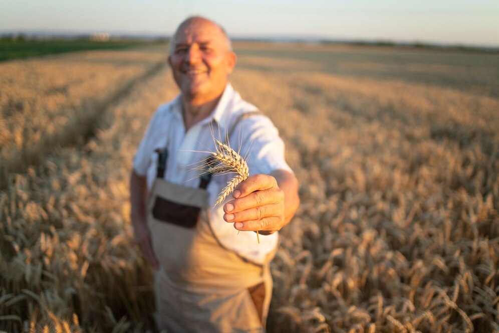 10 Powerful Positive Outcomes If Wheat is Sown in the Kharif Season What Would Happen