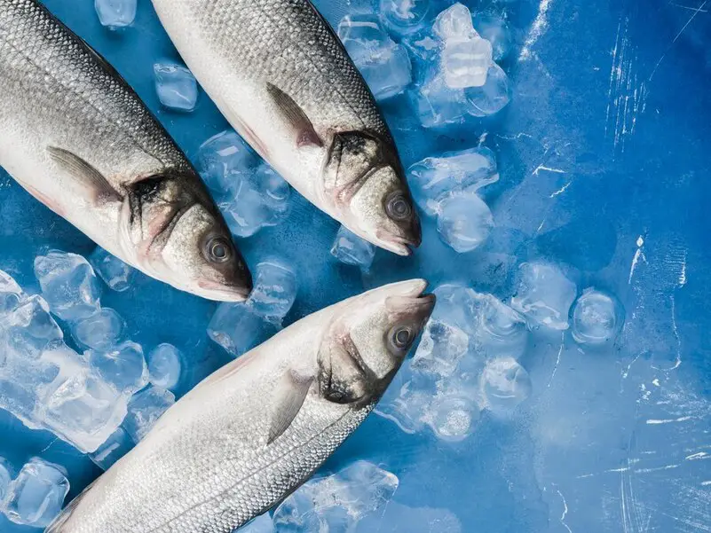 Mastering What Are the Advantages of Composite Fish Culture: 10 Strategies for Success