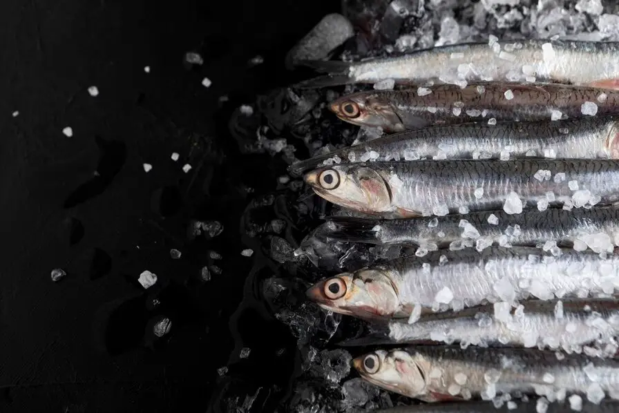 Mastering What Are the Advantages of Composite Fish Culture: 10 Strategies for Success
