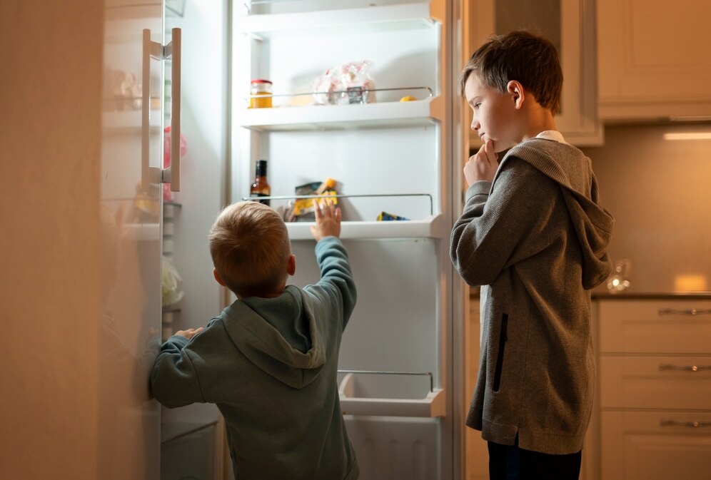 Choosing the top 10 energy-efficient Kelvinator fridges involves a rigorous selection process