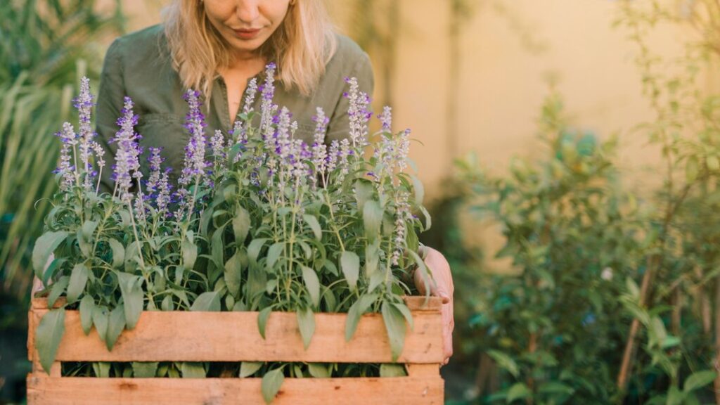 What Not to Plant with Bee Balm: Unveiling the Top 7 Offenders Exposed