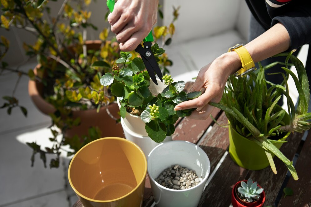 Blooming Happiness: 10 Positive Steps on How to Plant Flowers for a Vibrant Garden