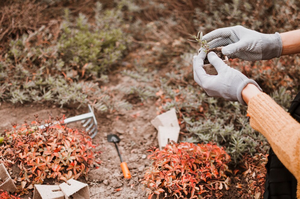 Mastering the Art: 10 Ways to Stunning how to make Forest in Little Alchemy