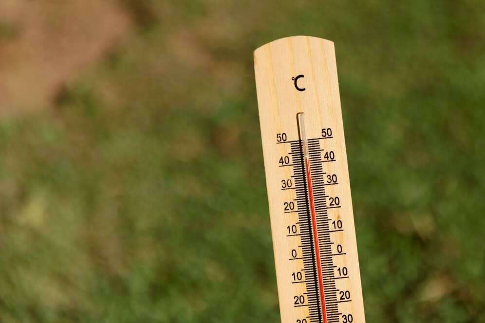 Effortlessly Convert 52.3 C to f Fahrenheit for Accurate Temperature Readings